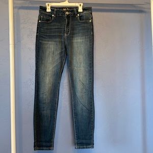 Indigo Rein Skinny Jeans